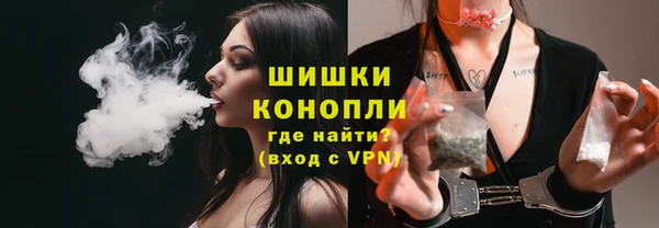 винт Богданович