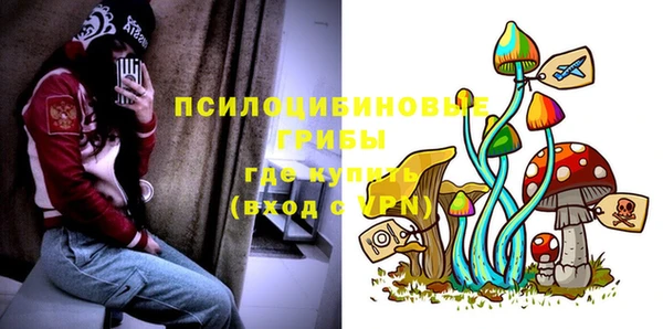 MDMA Богородск