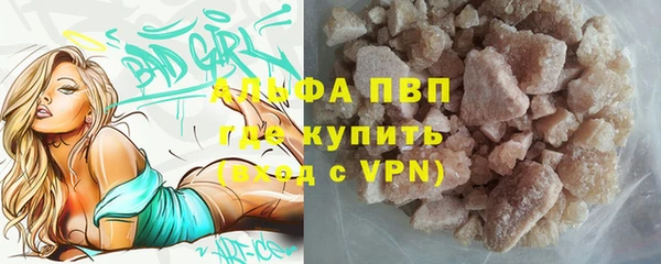 винт Богданович