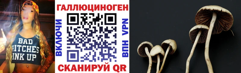 купить Боровск Галлюциногенные грибы GOLDEN TEACHER