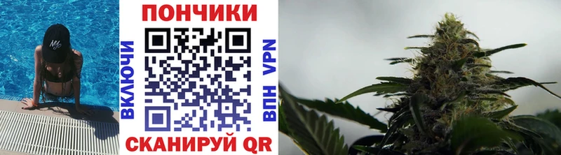 Бошки марихуана Bruce Banner  Боровск 